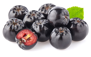 Aronia Beeren