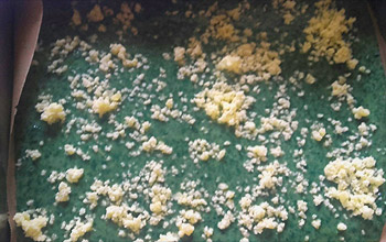 spinatmasse-auf-blech