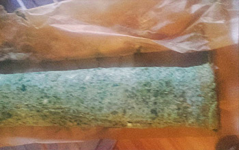 spinatwrap-aufrollen